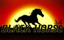 La slot machine Black Horse