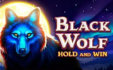 La slot machine Black Wolf